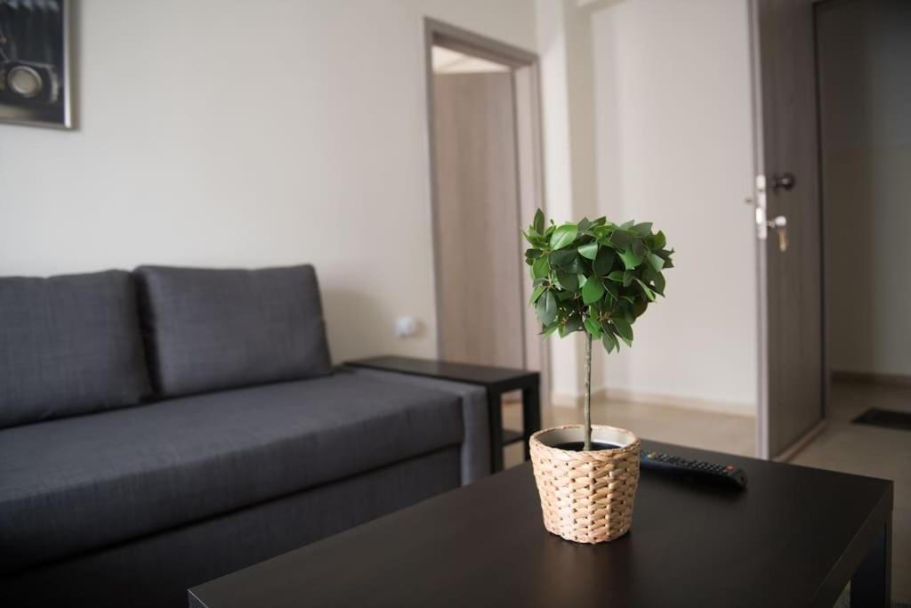Markopoulosapartments ネア・ムダニア エクステリア 写真