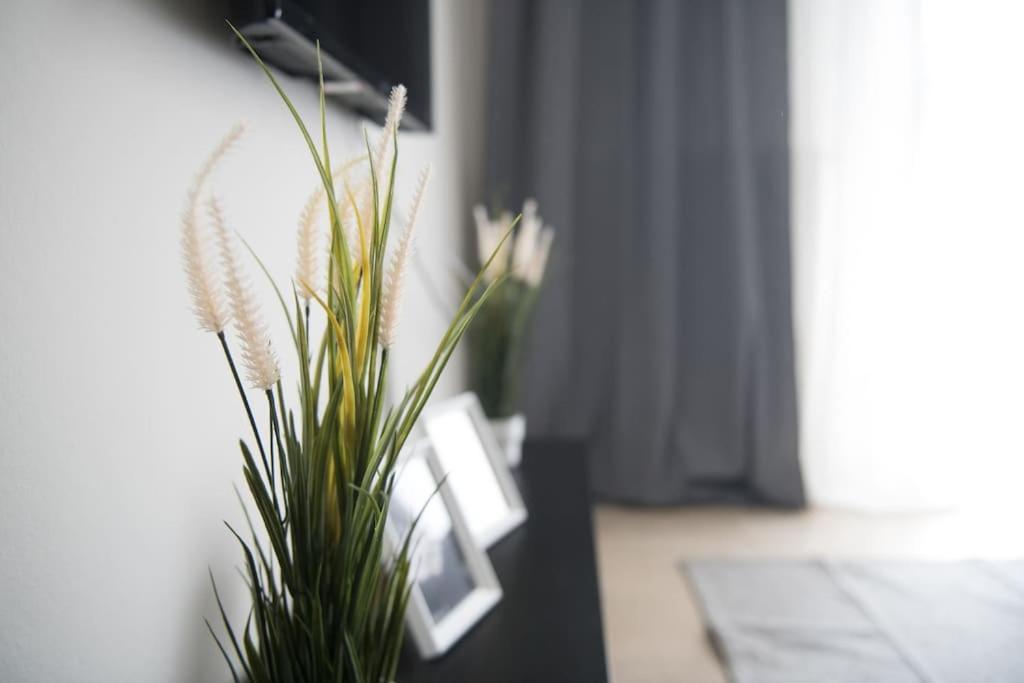 Markopoulosapartments ネア・ムダニア エクステリア 写真